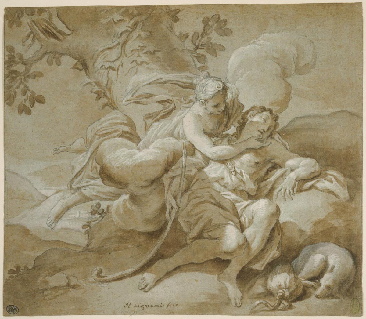 hildegardavon:  Carlo Cignani, 1628-1719 Diana and Endymion, ca.1700, brush and brown