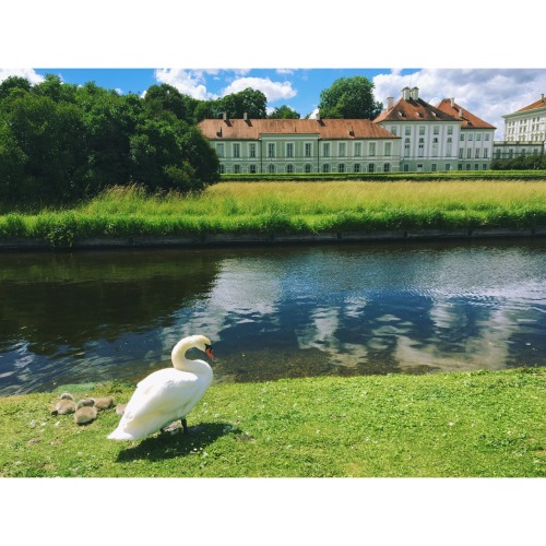 artschoolglasses:  Nymphenburg Palace. The German rococo in here is glorious. I died a little inside