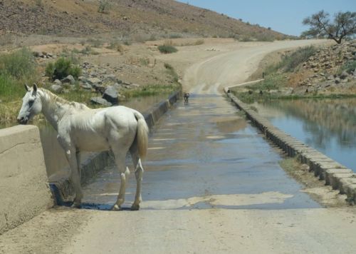 Namibia 2023/24 - Tag 10