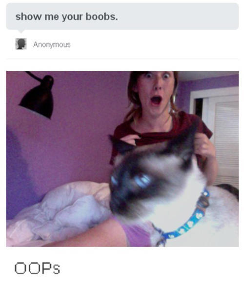 Hilarious Tumblr Comment Replies