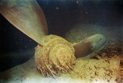 sixpenceee:  Images of the most recent pictures of the wreck of the Titanic . Today, the Titanic still remains underwater as microbes eat away at the remaining iron. 