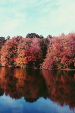 ivvvoo:  Autumn at home by Tom Cadrin | follow on Tumblr