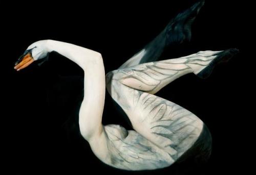 jedavu:  Amazingly Surreal Body Art Transforms adult photos