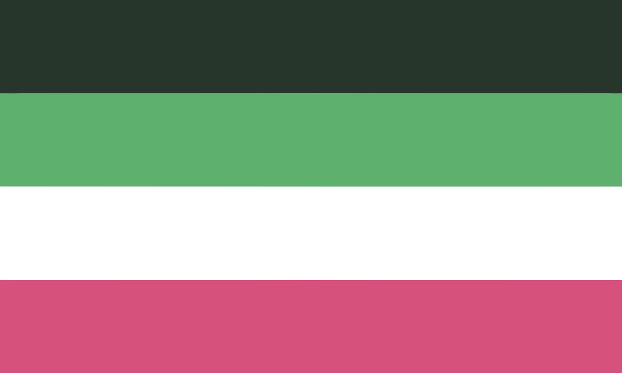 Aromantic Flag Archive — Meant for aromantic/arospec people. Some might...