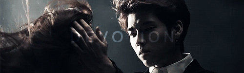 myungsoopermans:  the qualities of an idol 