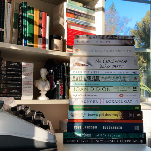 natreadsthings:Lovely morning light on International Women’s DayHere’s a stack of books written by w