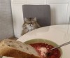 catasters: