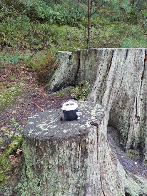 Camping Trip With Albert
