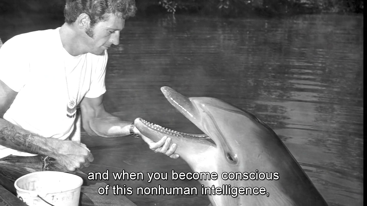 jah13love:  exquisitedreamlife:  I’ve reblogged this before, but it needs to be