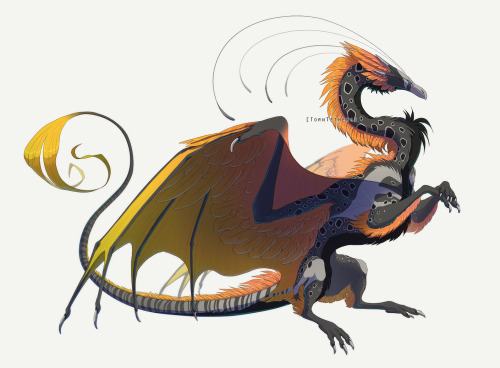 Commission for  KayFedewa of her FR dragon, Septimus!