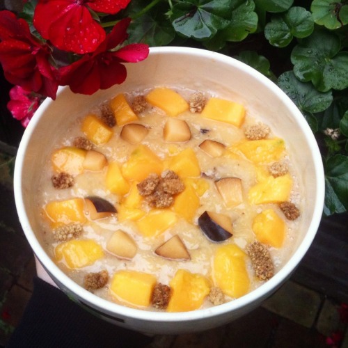 pudding/soup made of bananas, plums, mango and mulberries instagram: fruitigeavonturen