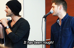 theflavourofyourlips:  Supernatural in a nutshell(x) 