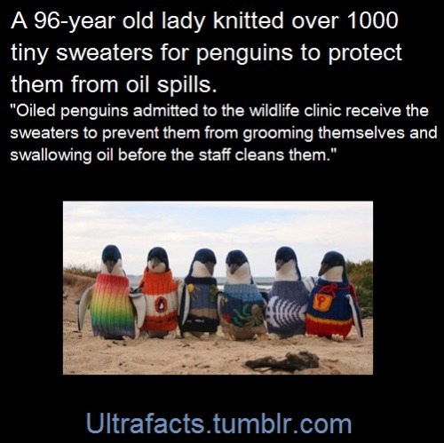 ultrafacts:  pizzaismylifepizzaisking:  doctor-need-some-pie:  ultrafacts:   Sources: 1 2 3/3 4 5 6 7 8 9 10 Follow Ultrafacts for more facts   This is just so cute     