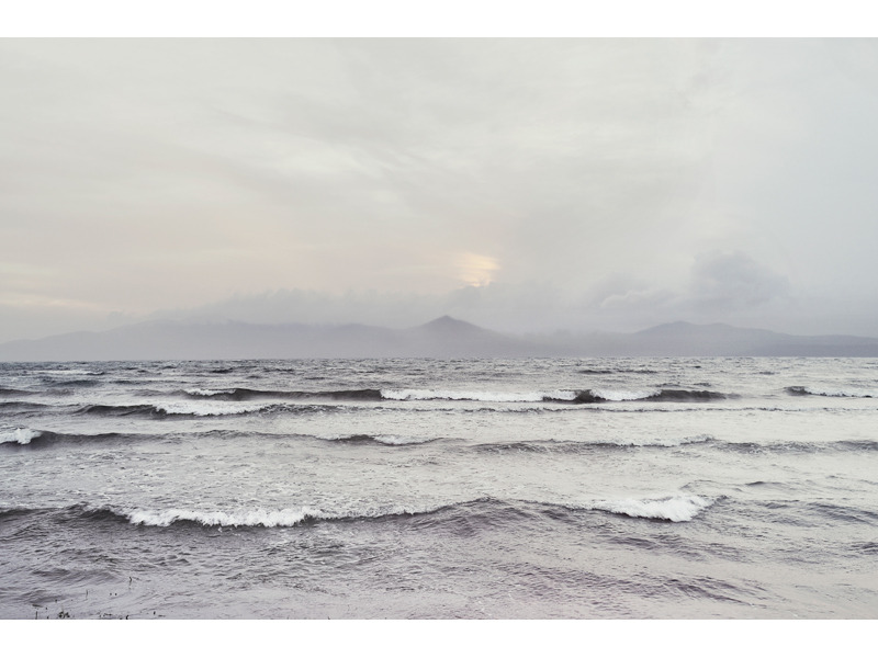 A Nature Blog