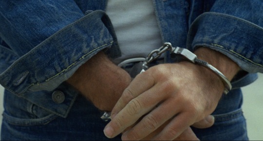 izvletchenie:Terrence Malick, Badlands (1973)