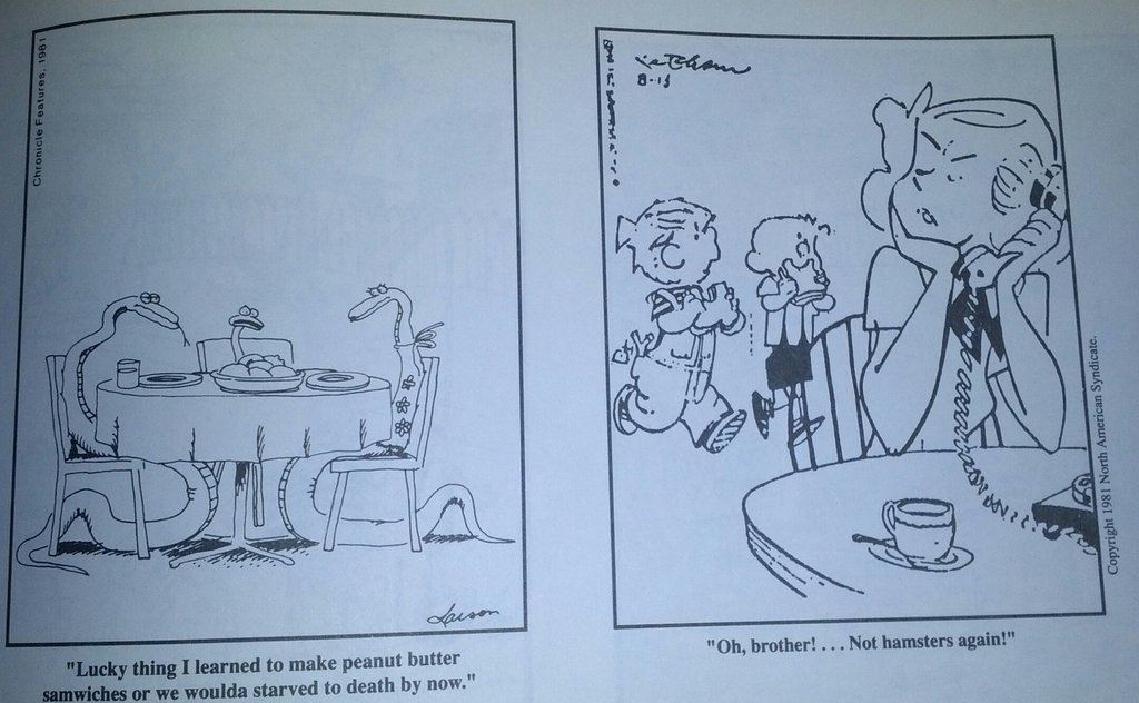 nadiaoxford:  neondoto:  pleatedjeans:  In the 1980s a newspaper mixed up the captions