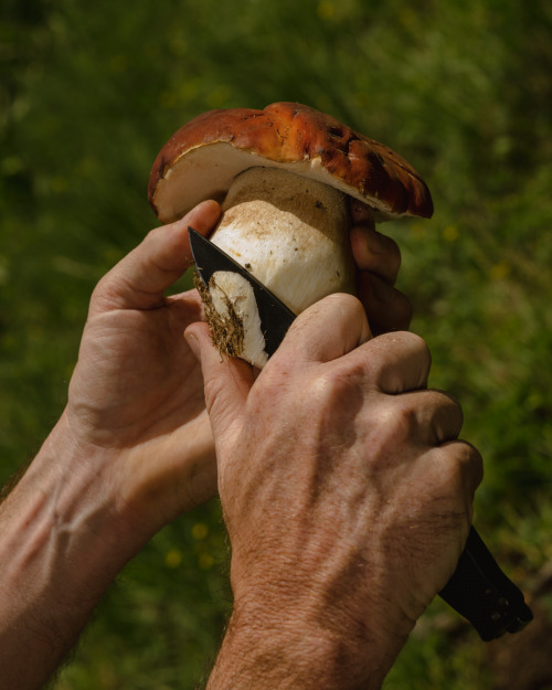 forestgreenlesbian:Telluride Mushroom Festival by Caroline Tompkins for Vogue