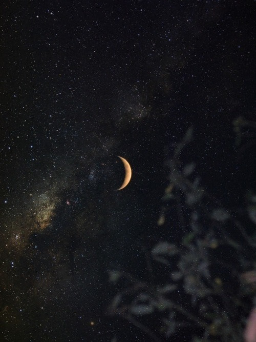 psychedelic-flower-childd:  ☪ ☯ ☮