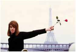 diegoriveragomez:  FRANÇOISE HARDY BY JEAN-MARIE