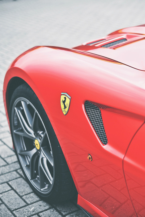 lightexponent:  599 GTO via