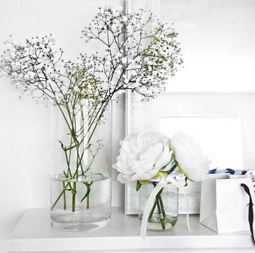 evelinairene:  Var tvungen att dela detta på @WeHeartIt http://weheartit.com/entry/214780039/via/evelinajansson