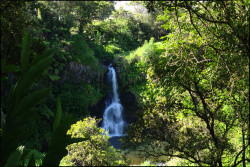 joshua-lawrence:  Big Island, HI