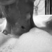 kata-piesh:Wanna take bubble baths together?