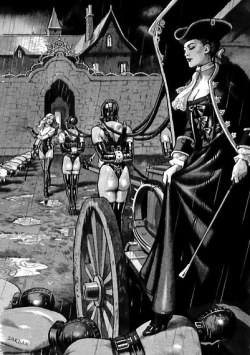 By Sardax