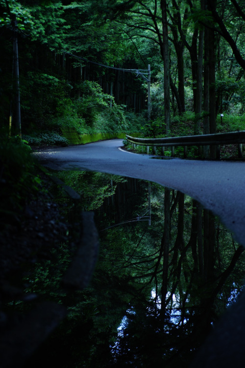 rainy road by yosuke