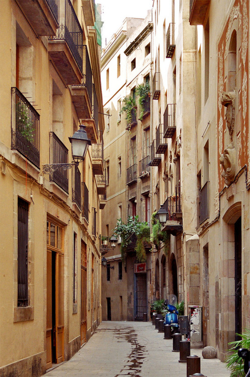 allthingseurope:Barcelona (by Fernando Stankuns)