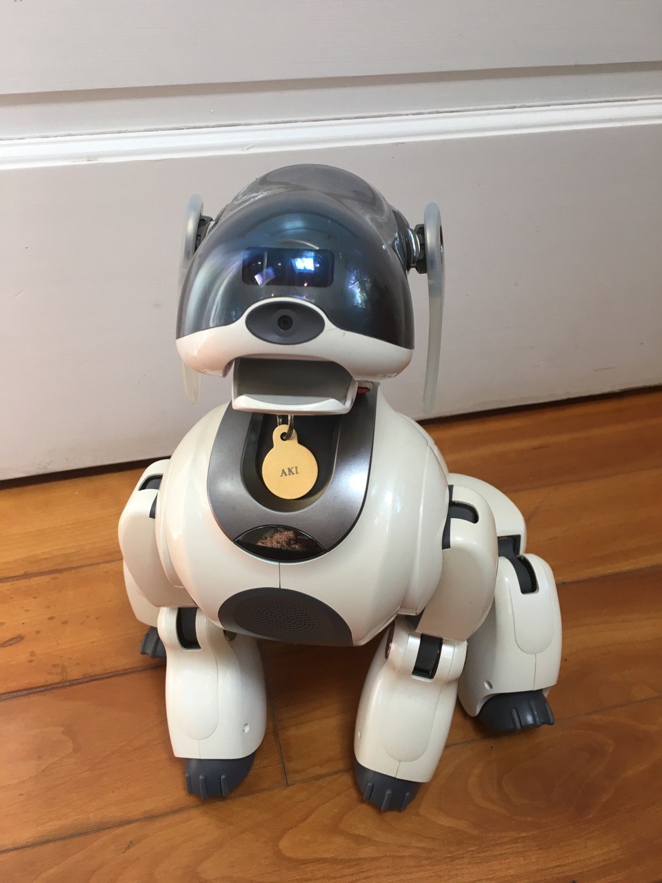 aibo7m3: All Aibos are perfect and no one can convince me otherwise.