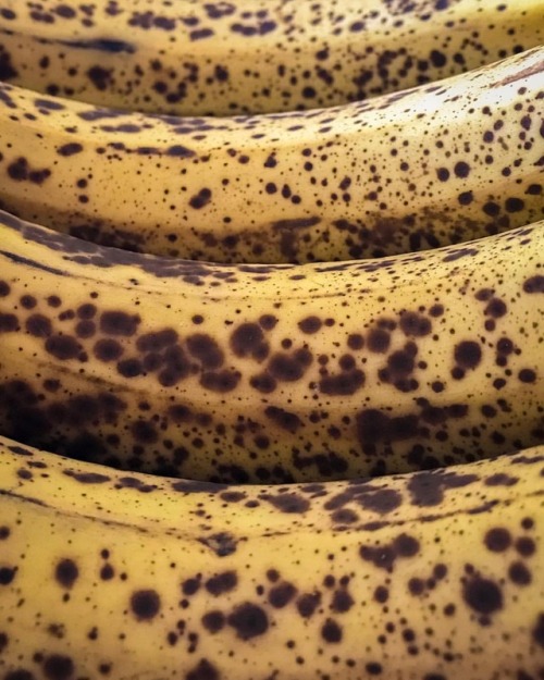 Bananas. . . . . #fruit #banana #landscape #photography #photographylover #photographylovers #photog