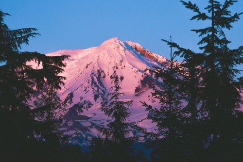 adventureovereverything:Perfect sunset over Mount Adams in Washington. We watched the sun go down, h