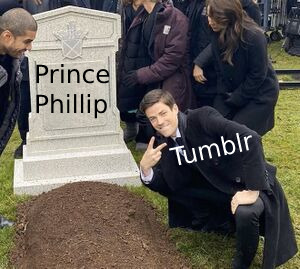 Tumblr media