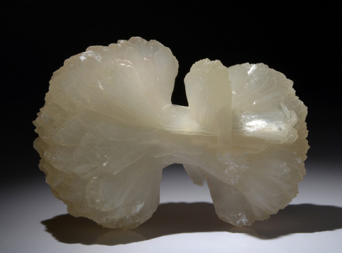 Stilbite “BowTie” by usageology on Flickr.Stilbite “BowTie” Locality: Lonavala Pune India Size: Specimen is 2.38 inches wide.