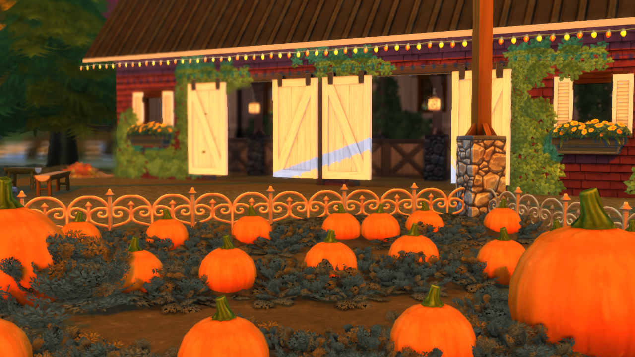 fully functional pumpkin patch & cafe + pumpkin... : it's only life