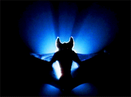 Animus Rox — Batman Forever (1995)