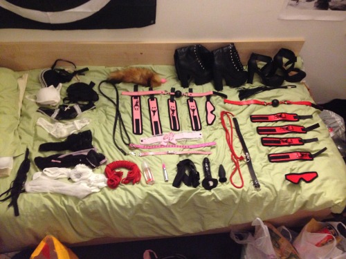 Was organising my sex and bondage gear, and porn pictures