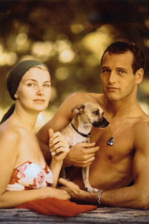 avagardner: It was a hot August day and I had been out making the rounds, and I was sweaty because in those days you had to wear your high heels and your gloves and everything. I went into my agent’s office because it had air conditioning, and I was