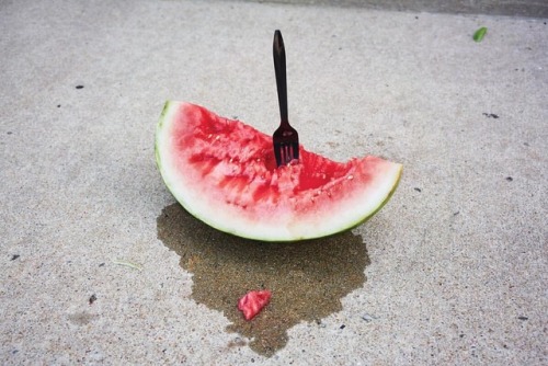 5-second rule #summerfruits #juciy #ilovesummer #watermellojoy @pissinginthepunchbowl
