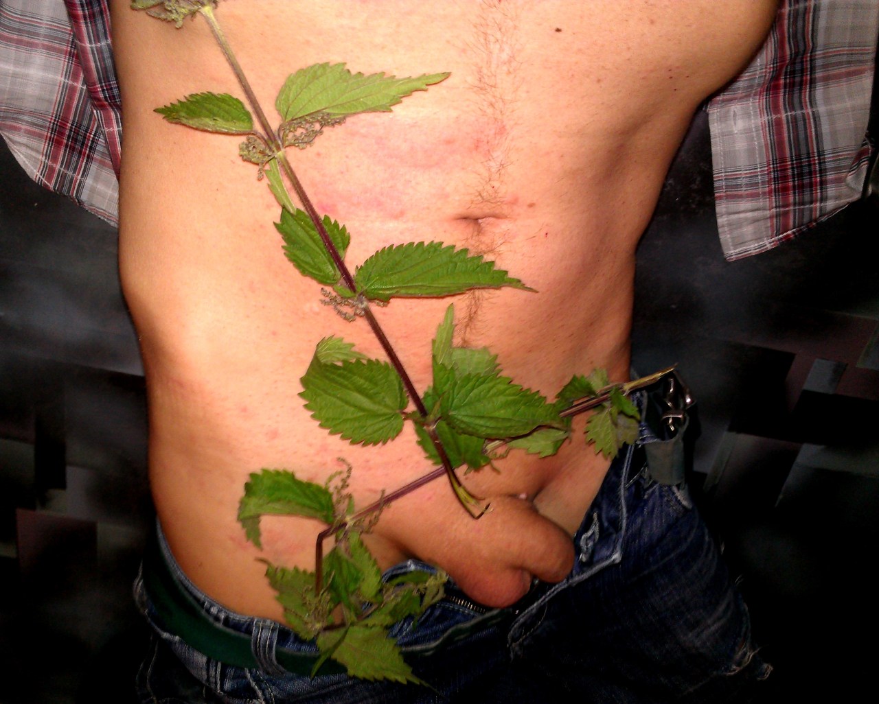 I’ ll take this last nettle with me and go. No more nettle scenes from me, ok?