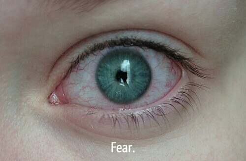 my-thoughts-have-no-boundaries:  Fear. on We Heart It.