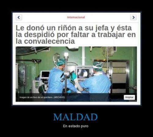¡deja que la vida te despeine!