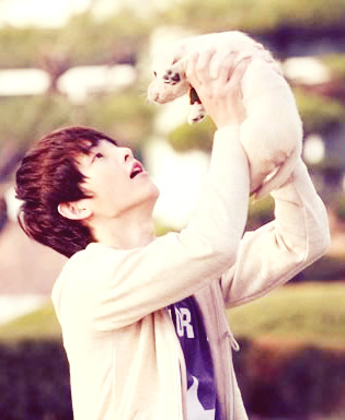 fyeahsongjoongki:  joongki x puppy 