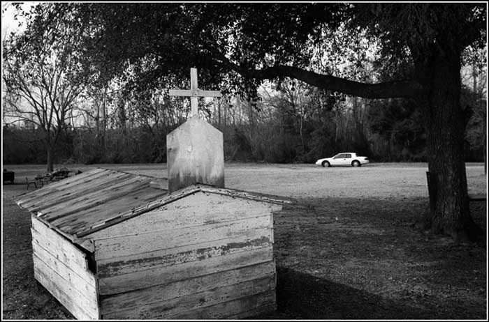 alyssadehayes:  Kudzu Creep: I made a Southern Gothic playlist for your Halloween