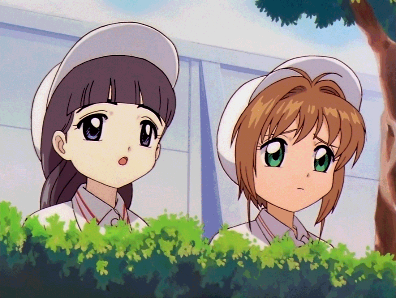 Ccさくら Tumblr Posts Tumbral Com