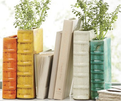 teachingliteracy:  yup-that-exists: Vase Bookends Keep your books in standing order with these unique vase bookends. Plant your favourite plants in these terra cotta pots shaped to look like just another book on your shelf.  BUY IT HERE 