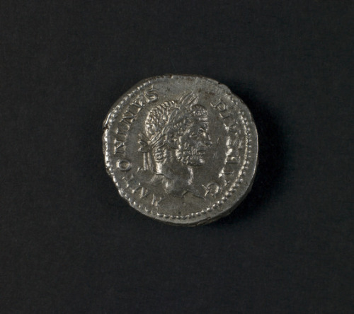 slam-ancient:Denarius with Bust of Caracalla, Roman, AD 210, Saint Louis Art Museum: Ancient Arthttp