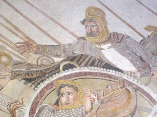 romegreeceart:the-mosaic-project:This is the one and only Alexander mosaic from The House of the Fau