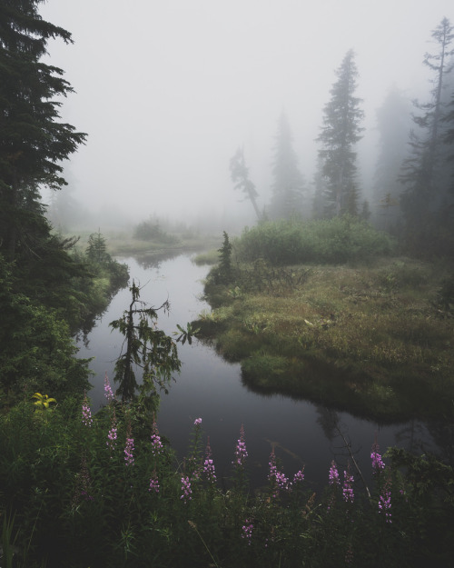 drxgonfly:A walk in the clouds (by Jamie Betts)